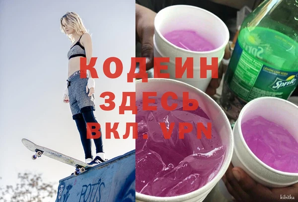 хмурый Алзамай