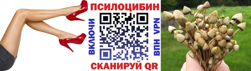 Псилоцибиновые грибы мухоморы Ангарск