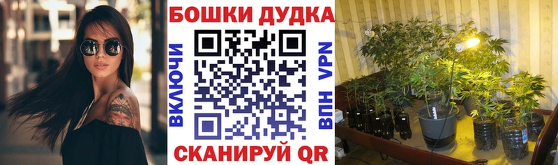 Бошки марихуана индика  Ангарск 